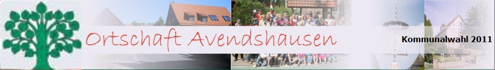 Kommunalwahl 2011